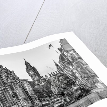 Trafalgar Square, London, UK by Assaf Frank